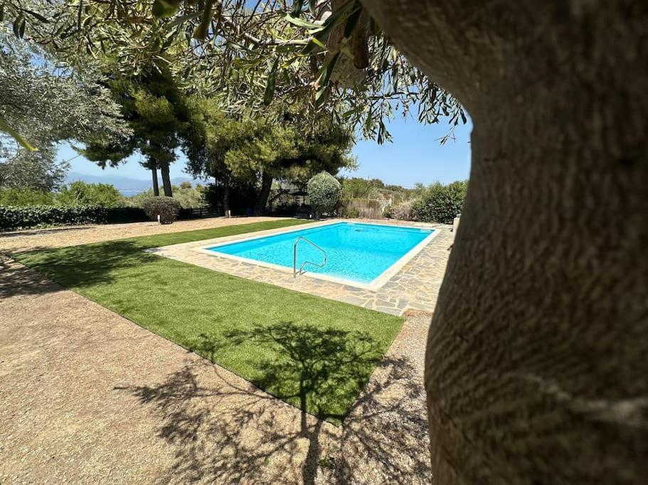 Villa Terrina Agioi Apostoloi  Exterior foto